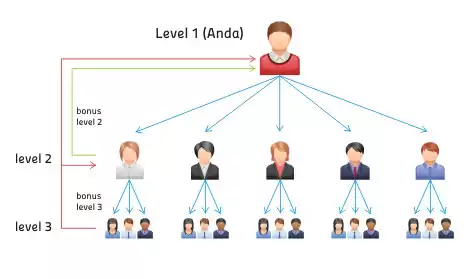 Level Bonus Upline